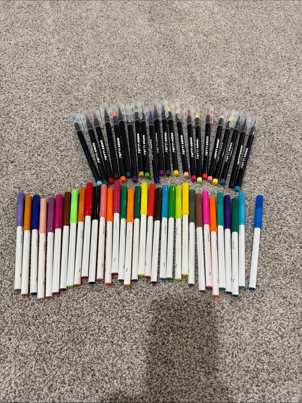 Artist Loft Fine point markers (33) and Mondo Llama brush tip markers (22)